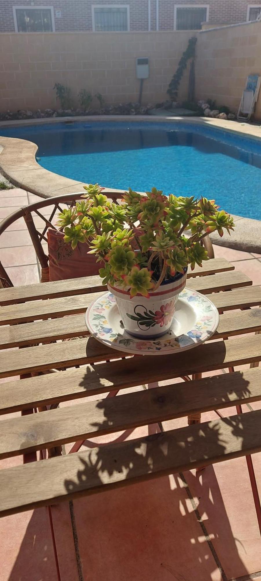 Habitacion,Piscina Y Jardin Azuqueca de Henares Buitenkant foto